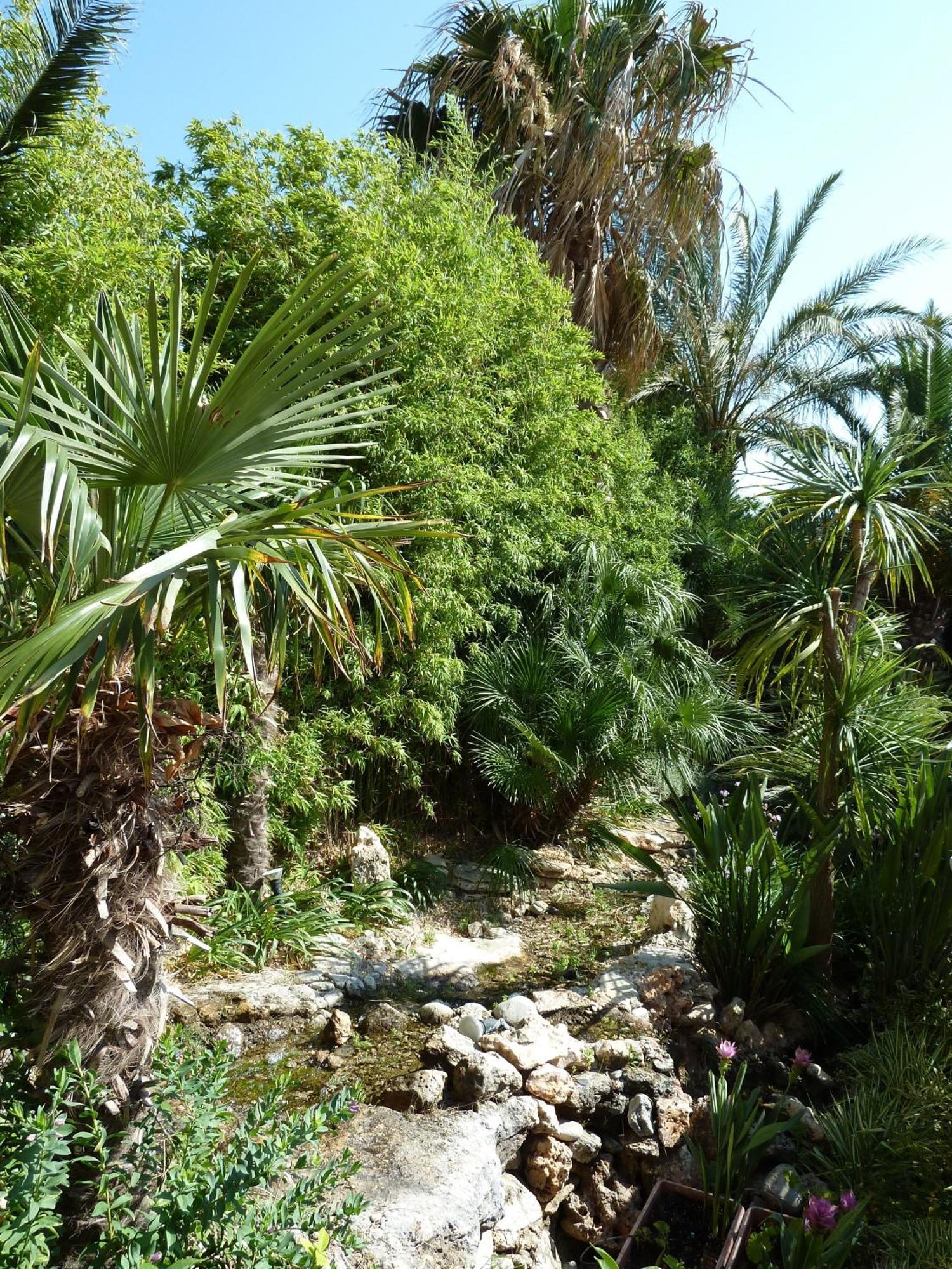 Hotel de apartamente Bay 3*